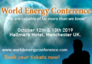 Speaker at 2019 World Energy Conference